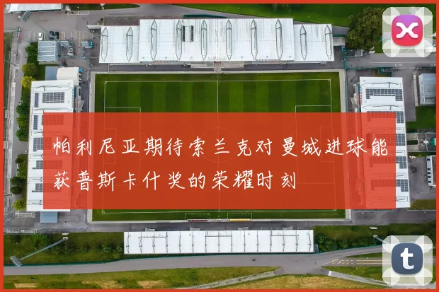 帕利尼亚期待索兰克对曼城进球能获普斯卡什奖的荣耀时刻