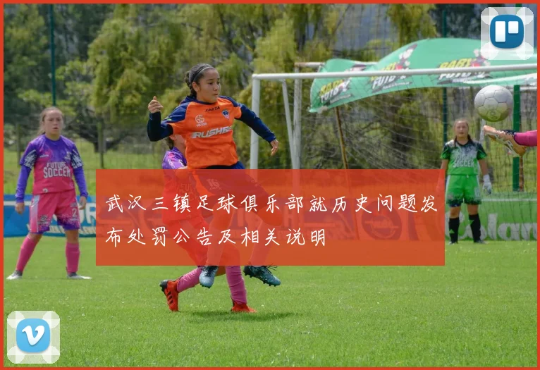武汉三镇足球俱乐部就历史问题发布处罚公告及相关说明